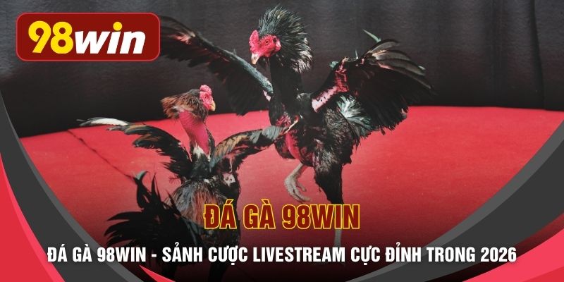 Đá Gà 98WIN - Sảnh Cược Livestream Cực Đỉnh Trong 2026