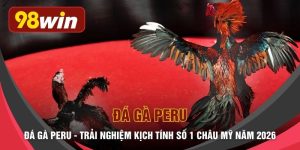 Đá Gà Peru - Trải Nghiệm Kịch Tính Số 1 Châu Mỹ Năm 2026